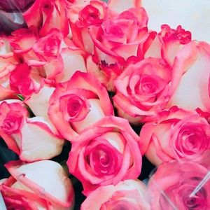 Meet your Posher, Lorena